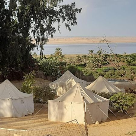 Tunis Camp Fayoum Exterior foto
