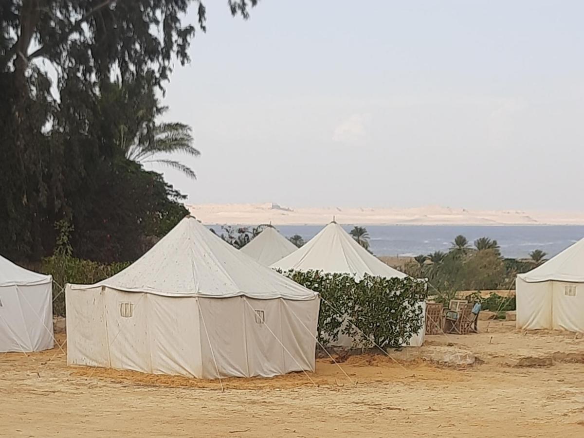 Tunis Camp Fayoum Quarto foto