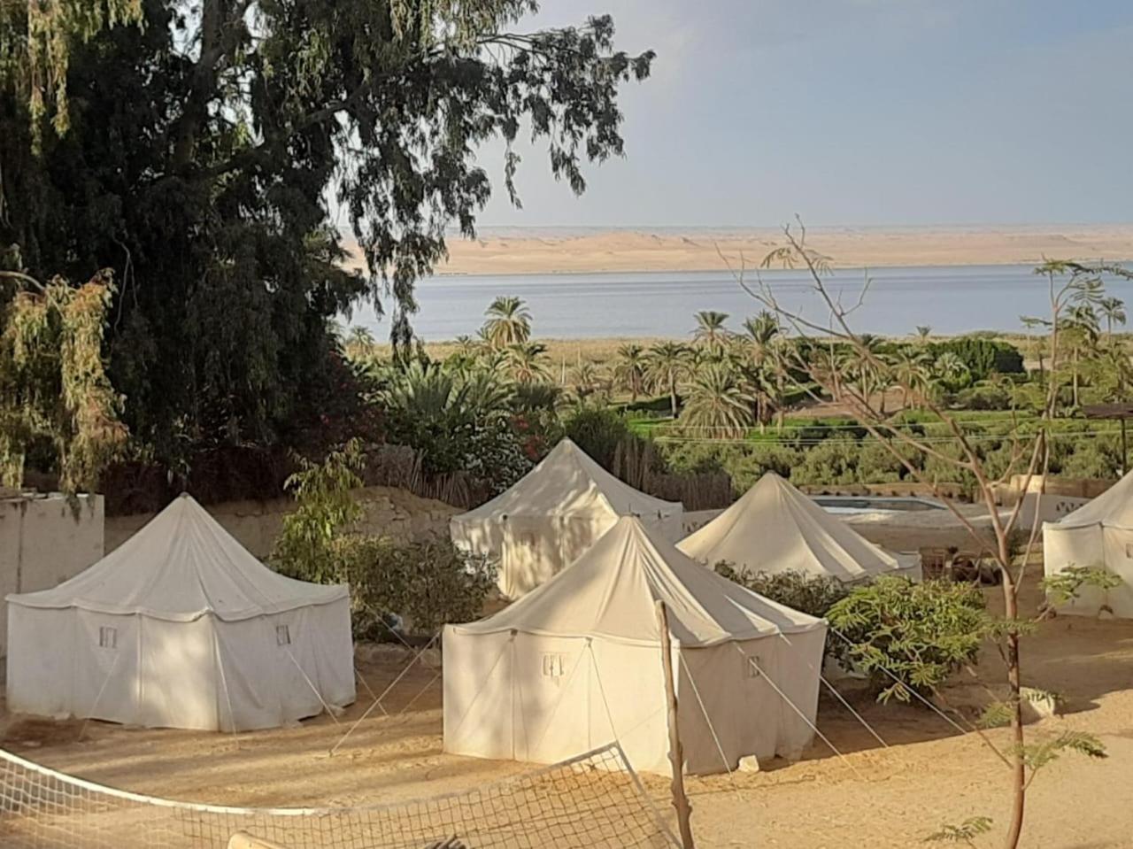 Tunis Camp Fayoum Exterior foto